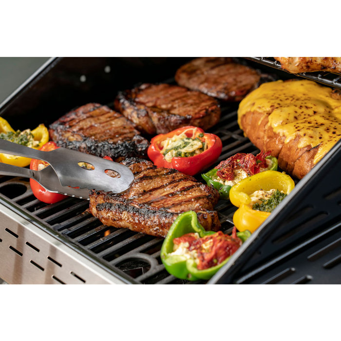 Megamaster 2Burner Propane Gas Grill with Side Shelf & Reviews Wayfair